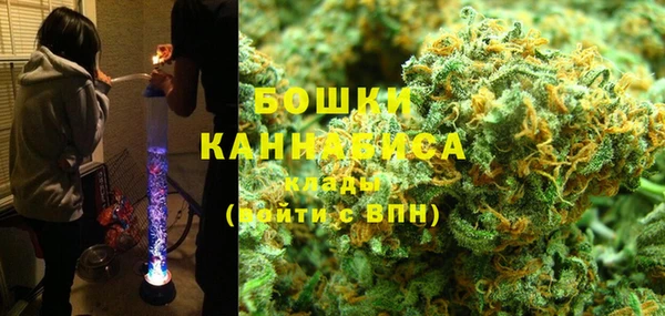 гидра Покачи