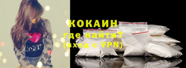 гидра Покачи