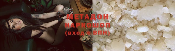 гидра Покачи