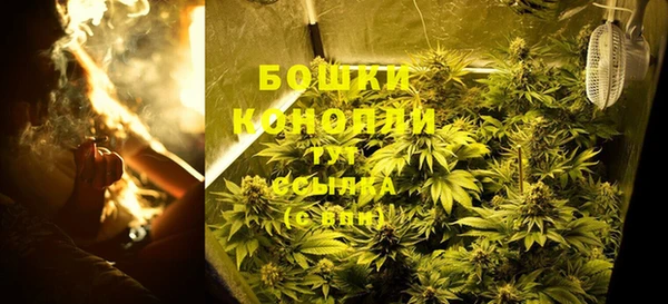 прущие крисы Пестово