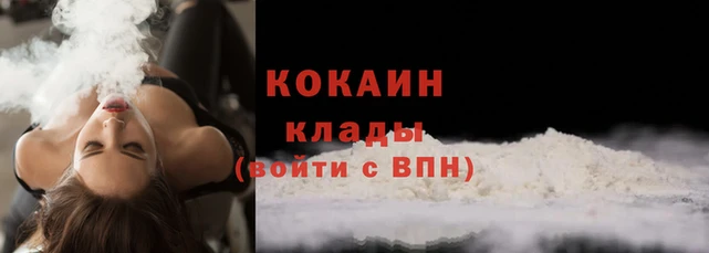 гидра Покачи