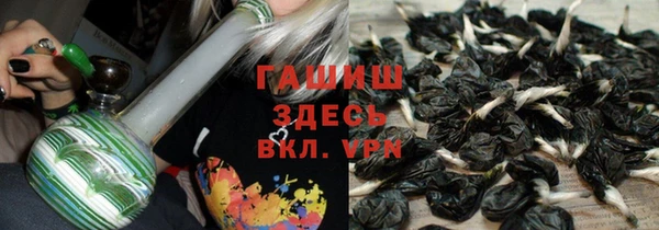 гидра Покачи