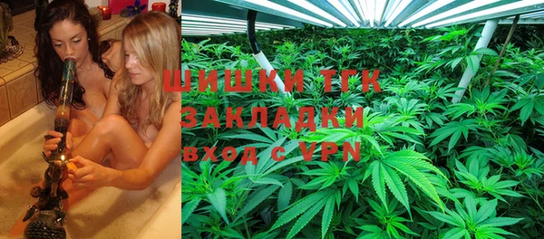 гидра Покачи