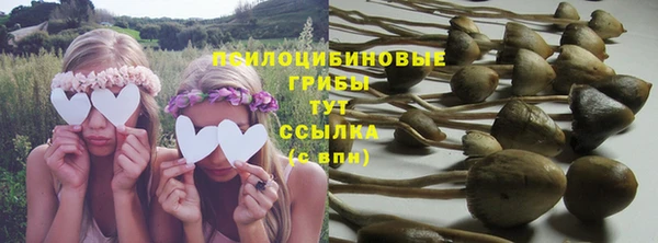 кокс Пересвет