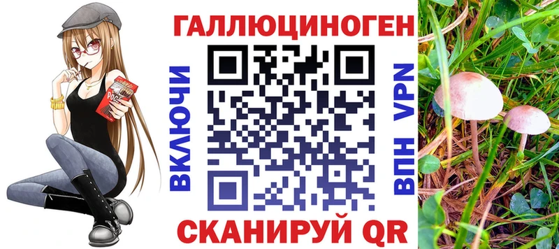 Псилоцибиновые грибы Cubensis  Грязи 