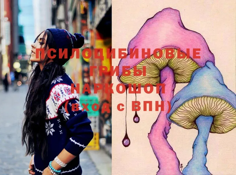 Псилоцибиновые грибы Magic Shrooms  Грязи 