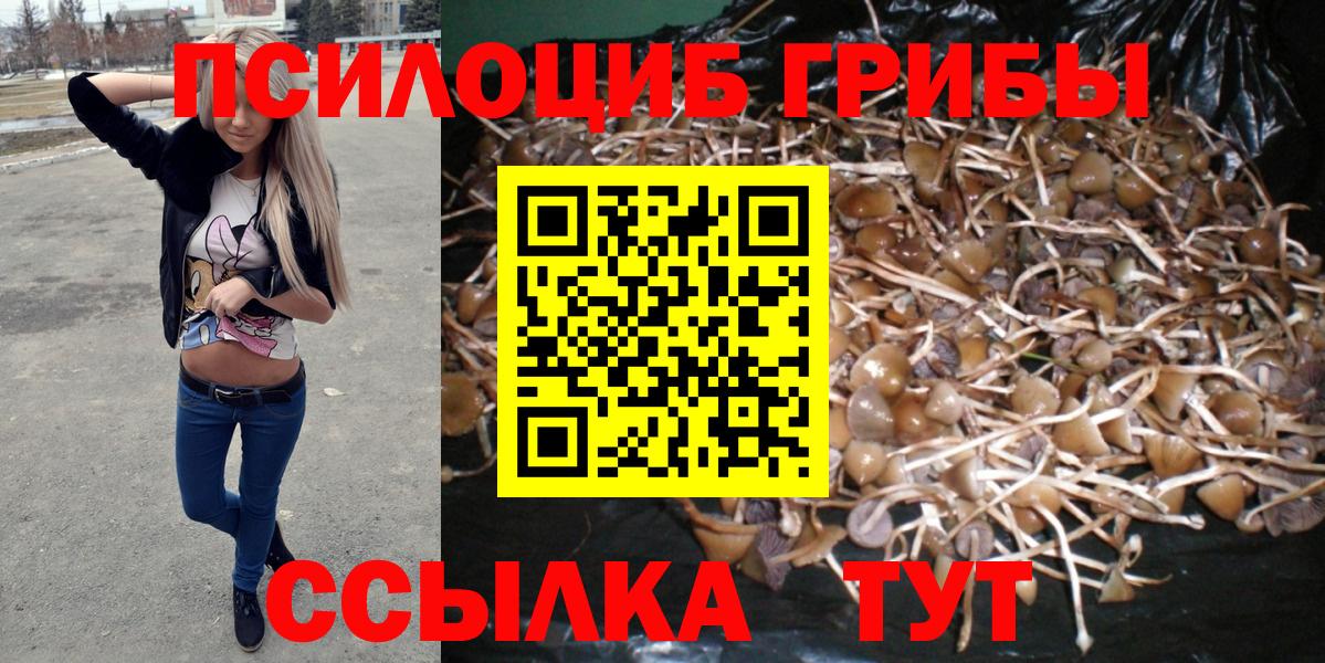 Псилоцибиновые грибы ЛСД  Вход с VPN  Псилоцибиновые грибы Psilocybe  Грязи 