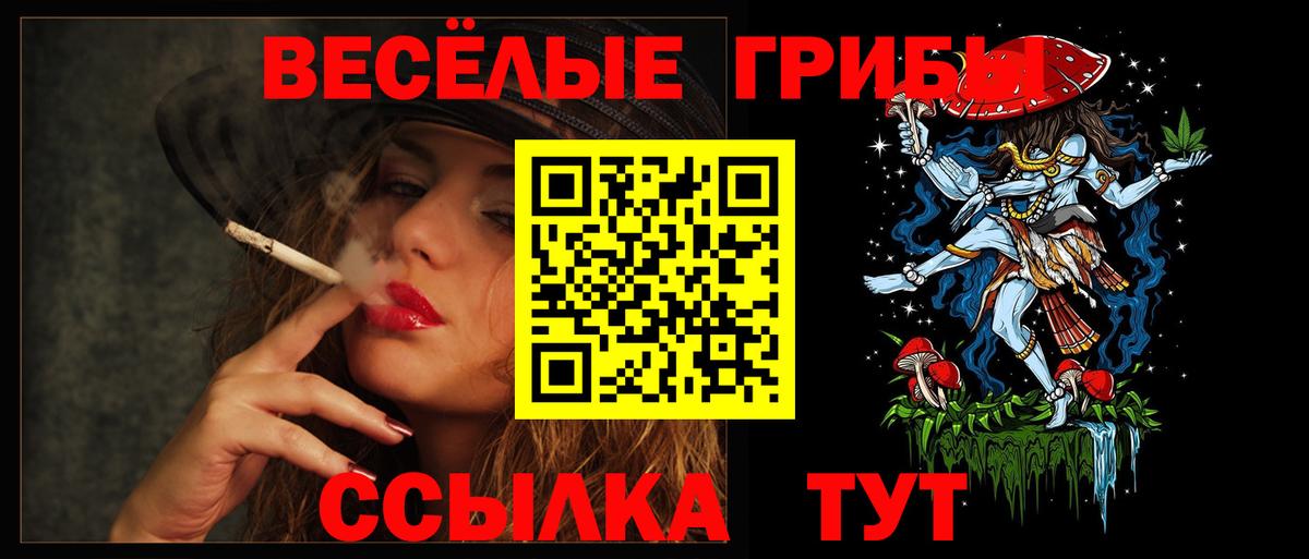 Псилоцибиновые грибы Cubensis Грязи